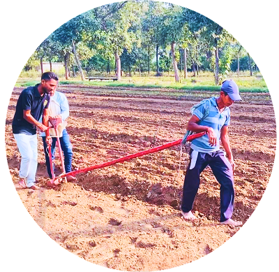 Agriculture