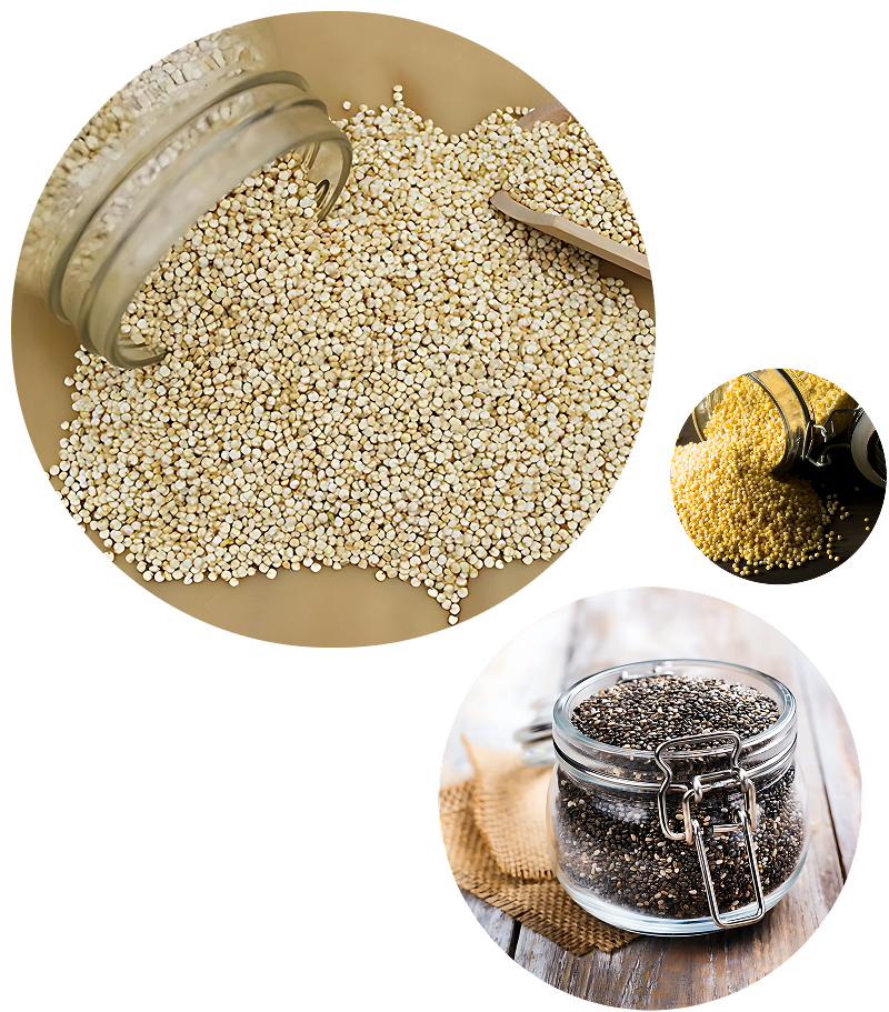 Quinoa Seeds